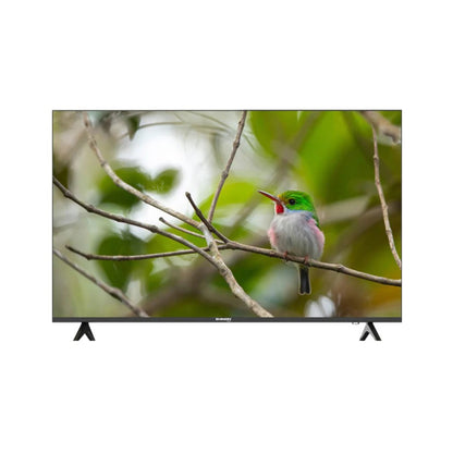 شاشة شينون 55 بوصة ذكية – دقة 4K UHD – موديل SH-55X25